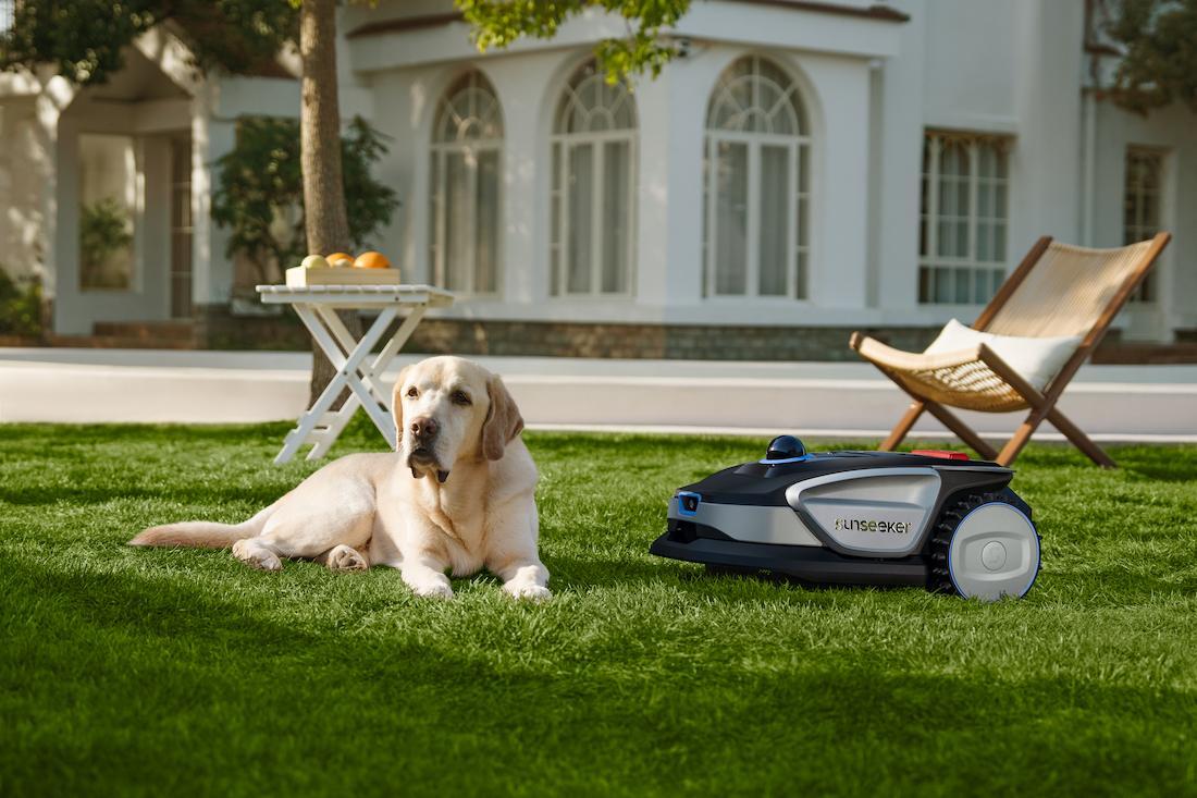 Configurazione robot e cane