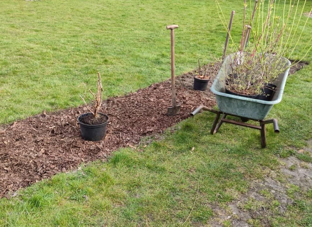 So wird dein Garten fit für den Frühling_ 5 praktische Tipps