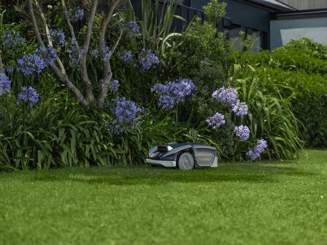 Sunseeker M&auml;hroboter neben Blumen im Garten