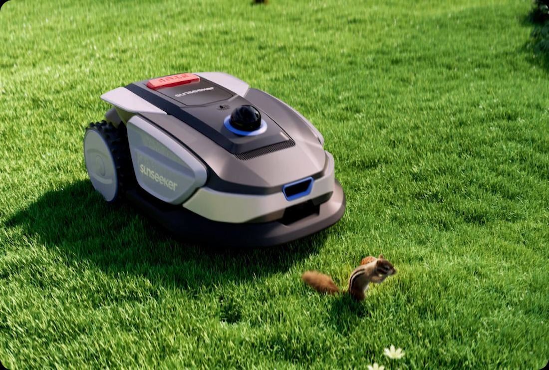 Robot tondeuse entretien pelouse