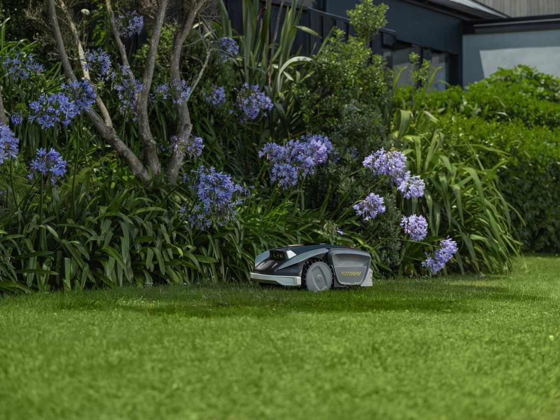 Sunseeker S5 sur pelouse fleurie