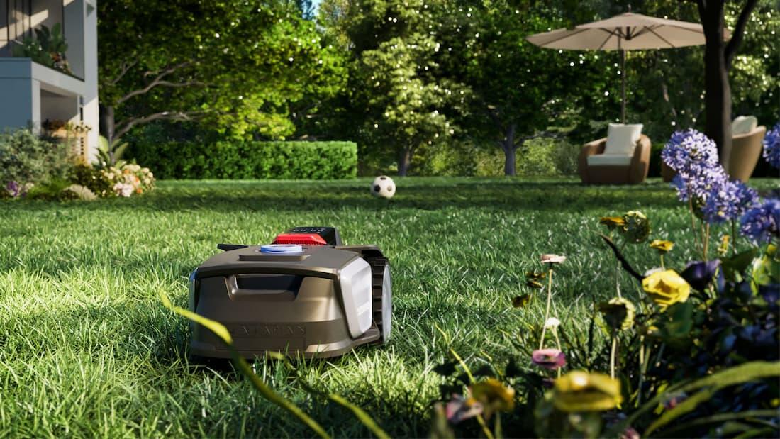 Get Rid of Mushrooms in Yard