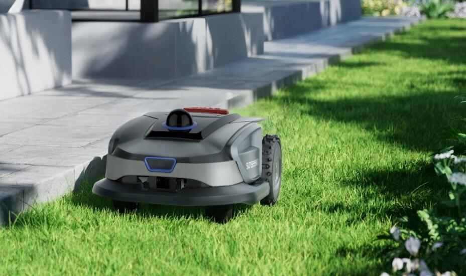 How to Revive Dormant Grass: A Practical Guide