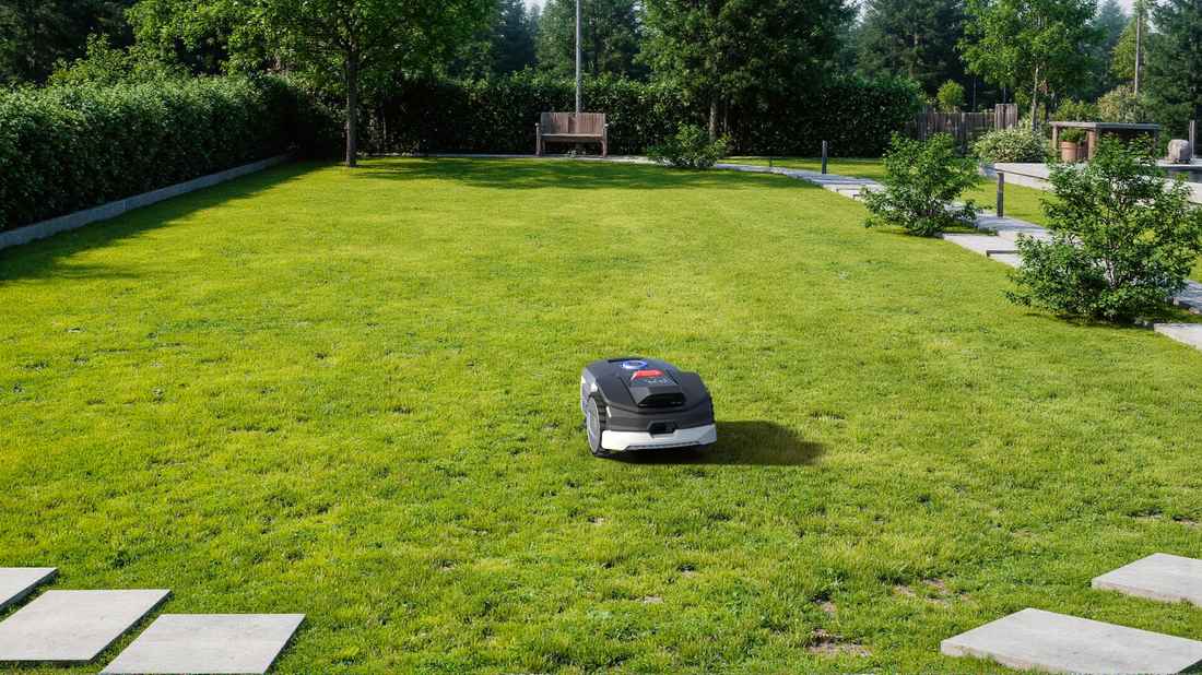 Sunseeker V1 lawn mower backyard