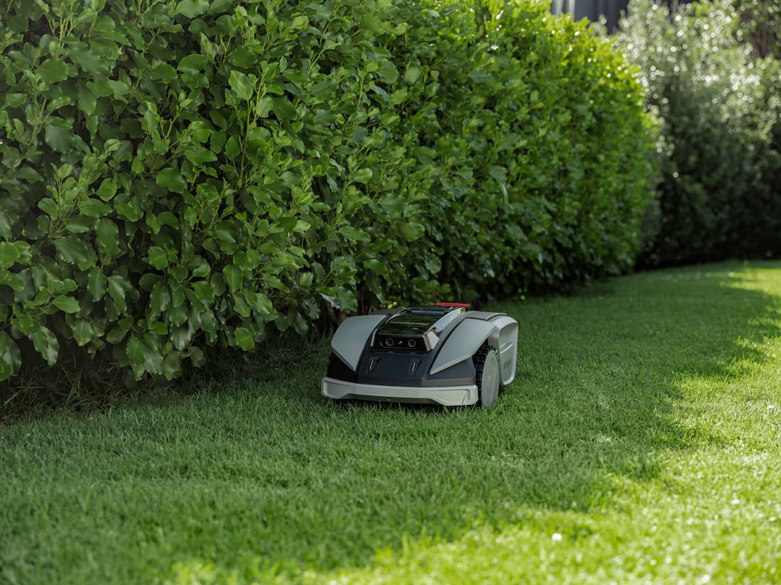 When to Put Weed Killer on Lawn