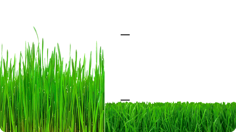 Adaptable Mowing Made Effortless