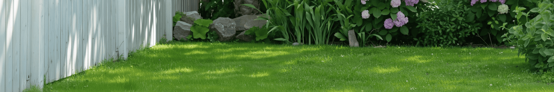 Warunki użytkowania