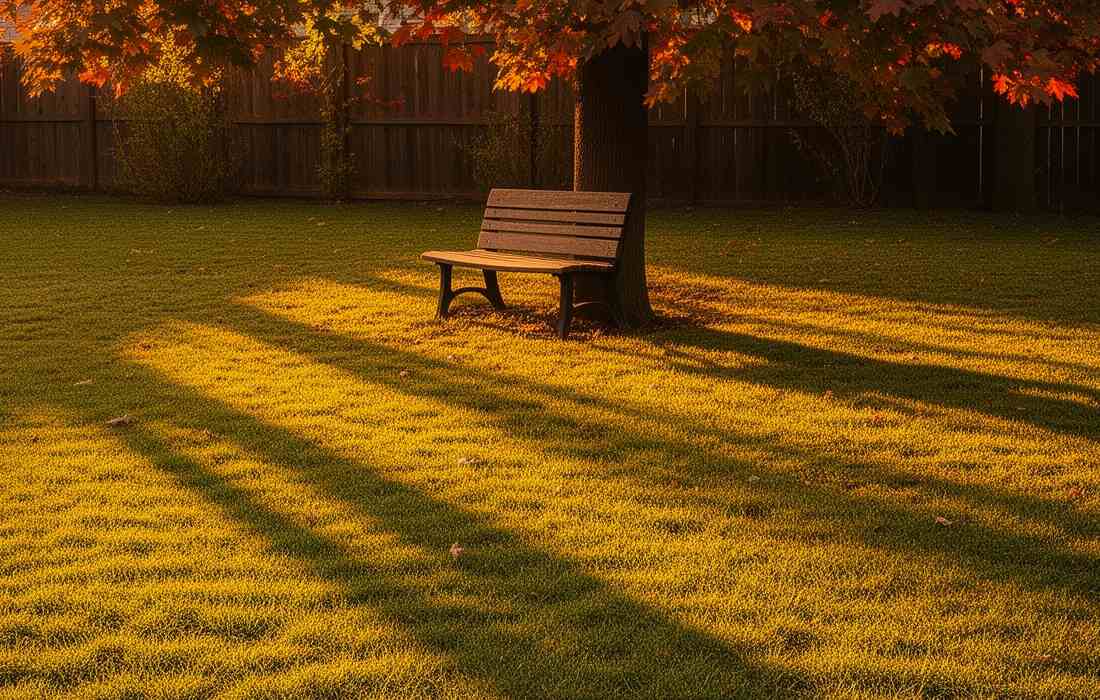 What to do after aerating your lawn