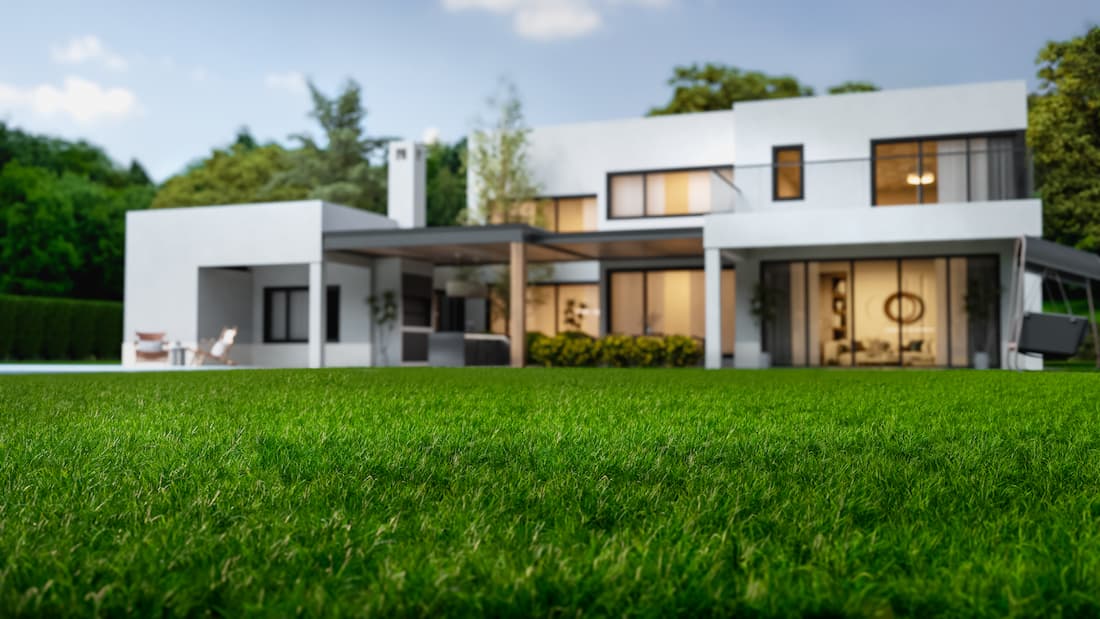 When to Mow New Sod
