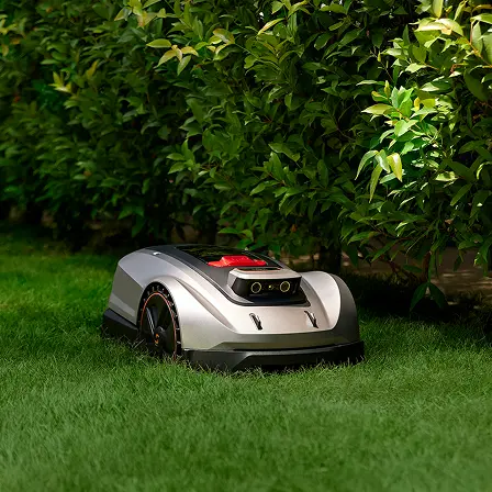 Hedge Edges